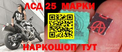 apvp Дмитров